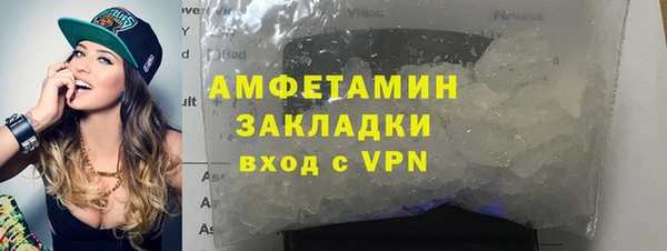 apvp Ельня