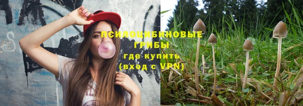 тгк Сосновка