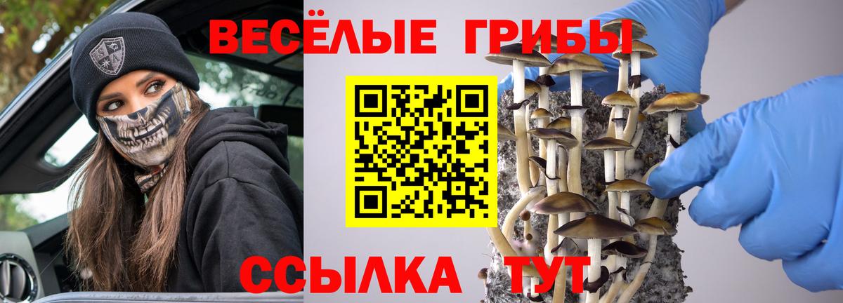 Псилоцибиновые грибы Cubensis Богородицк