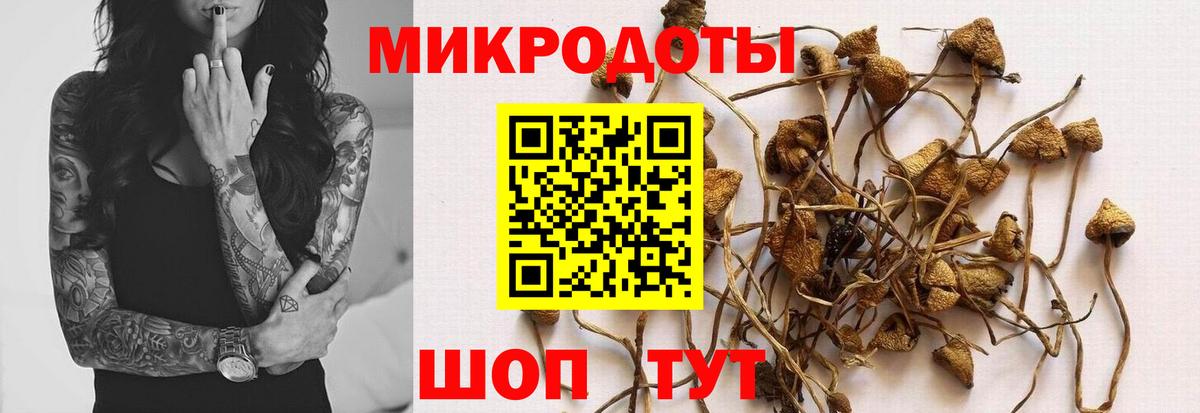 где найти   Богородицк  Псилоцибиновые грибы GOLDEN TEACHER 