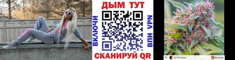купить Богородицк Шишки марихуана сатива