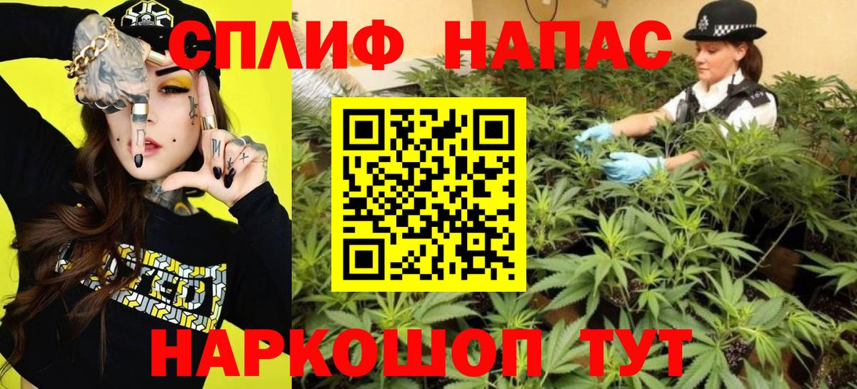 Канабис MAZAR Богородицк